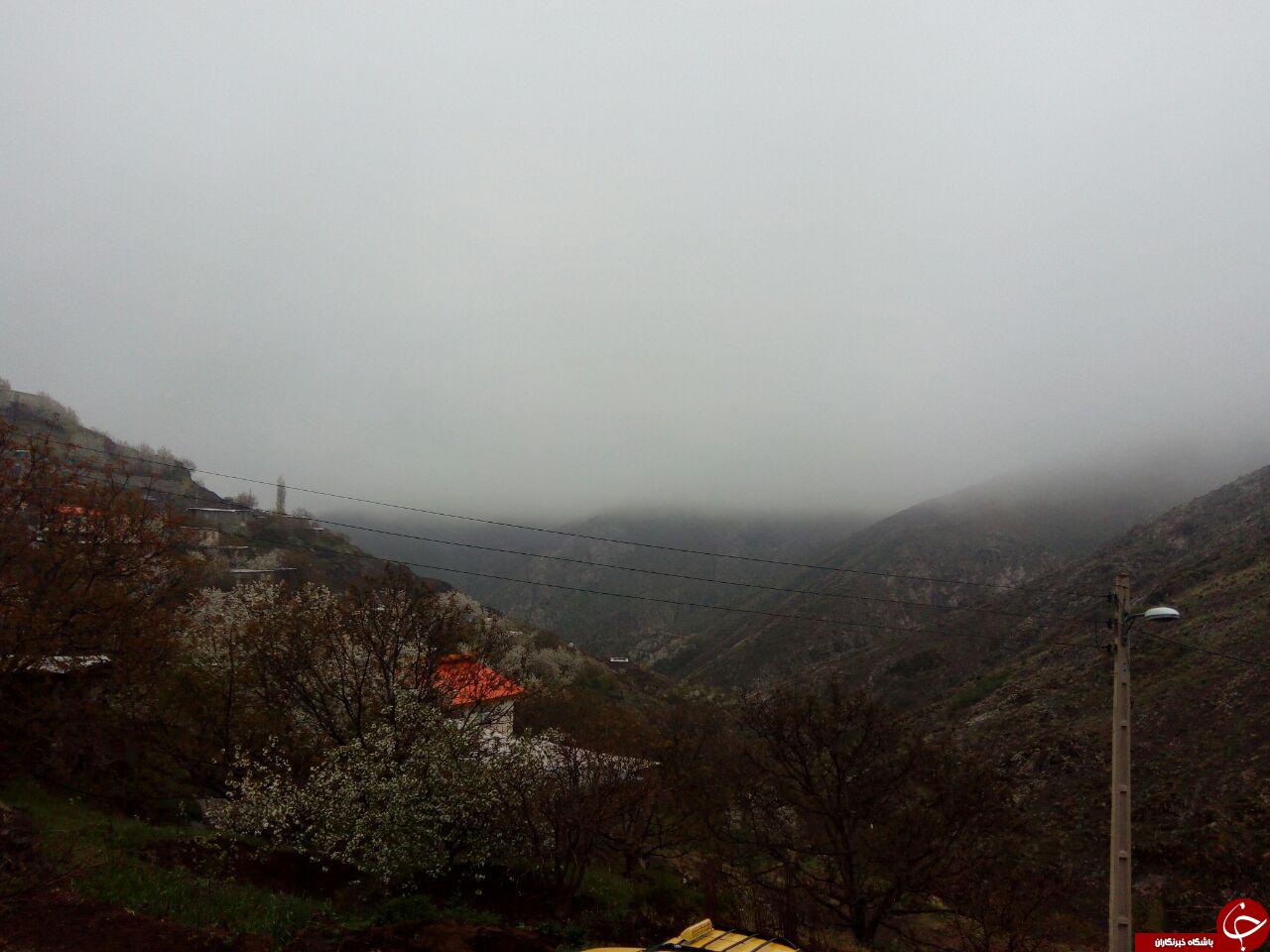 نمایی از طبیعت بهاری در روستای تنوره + تصاویر