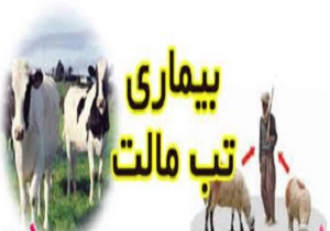 شدت بروز بیماری تب مالت در بهار و تابستان