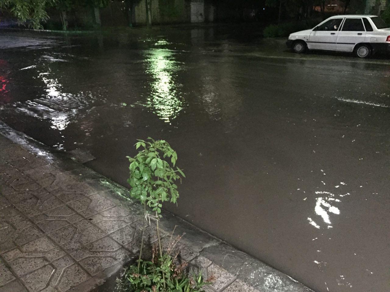 وقوع ۵۱ حادثه مرتبط با بارش باران در مشهد