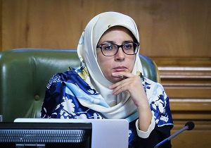 تحقق نظارت همگانی هدف اصلی سامانه شفافیت