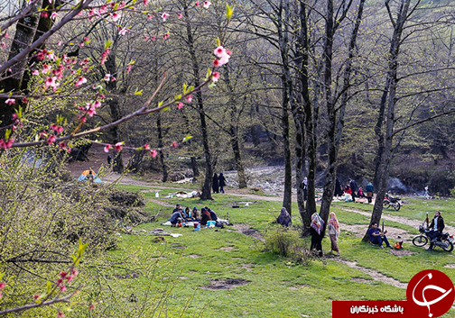 بررسی عملکرد گلستان در میزبانی از مسافران نوروزی