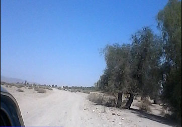 کمبود روکش آسفالت جاده در &laquo;لچ&zwnj;آباد&raquo; + فیلم