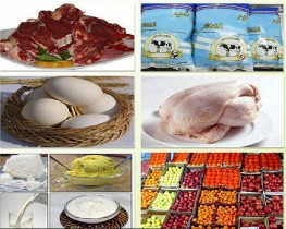تولید پایلوت محصولات سالم در زنجان