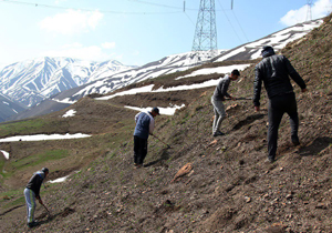 احیا ۷۵ هکتار مراتع غرب مازندران
