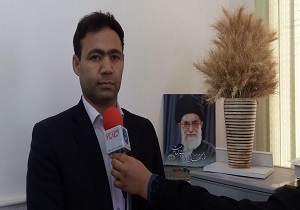 آغاز مبارزه با آفت سن مادری در اراضی گندم و جو در شهرستان خاتم