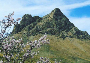 توصیه‌های هواشناسی کشاورزی