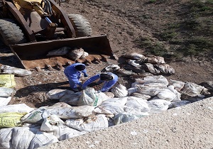 رها سازی تلفات طیور در تاکستان