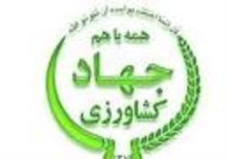 عدم بارش نزولات جوی در تربت جام باعث فقر مراتع شده است
