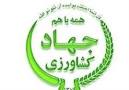 عدم بارش نزولات جوی باعث فقر مراتع تربت جام شده است