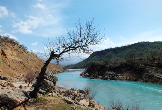 عکس دیدنی از طبیعت بهاری حاشیه رودخانه بازفت