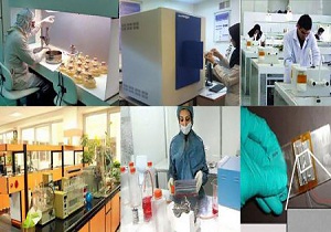 فروش 450 هزار دلاری شرکت های دانش بنیان همدان
