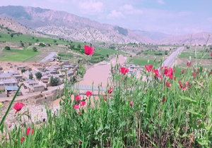 طبیعت زیبای «مَعمولان» در قاب دوربین + تصاویر