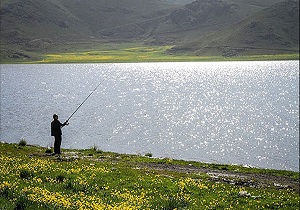 رهاسازی اردک ماهی ها برای احیای اکوسیستم 'دریاچه نئور' اردبیل