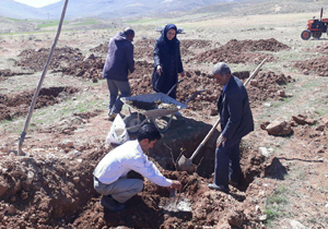 اجرای طرح گودبرداری و کاشت موی دیم در کیار