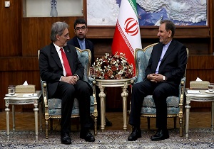 ایران آماده توسعه همکاری با فدراسیون بین المللی جمعیت&zwnj;های صلیب سرخ و هلال احمر است