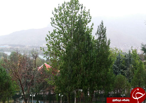 تداوم بارش باران تا فردا بعد از ظهر در لرستان+تصاویر