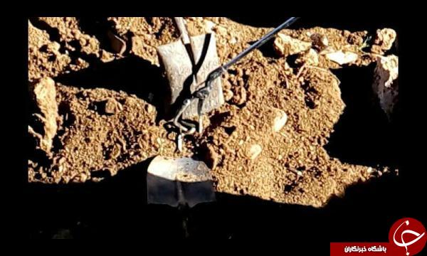 حمله مارهای سمی به یک منزل مسکونی در تکاب+تصاویر