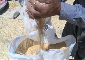 رتبه اول جمع آوری زکات سال 96 آذربایجان غربی ازآن مهابادیها