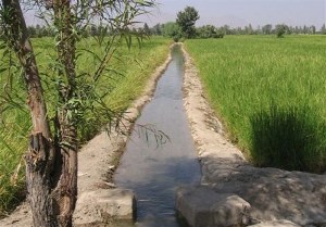 لایروبی بیش از ۷۵۰ کیلومتر از  نهر های کشاورزی در گیلان