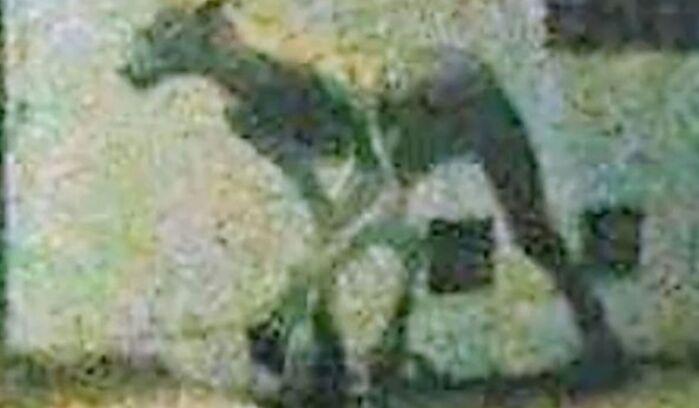 موجود عجیب الخلقه مردم آرژانتین را به وحشت انداخت! فیلم/////////////