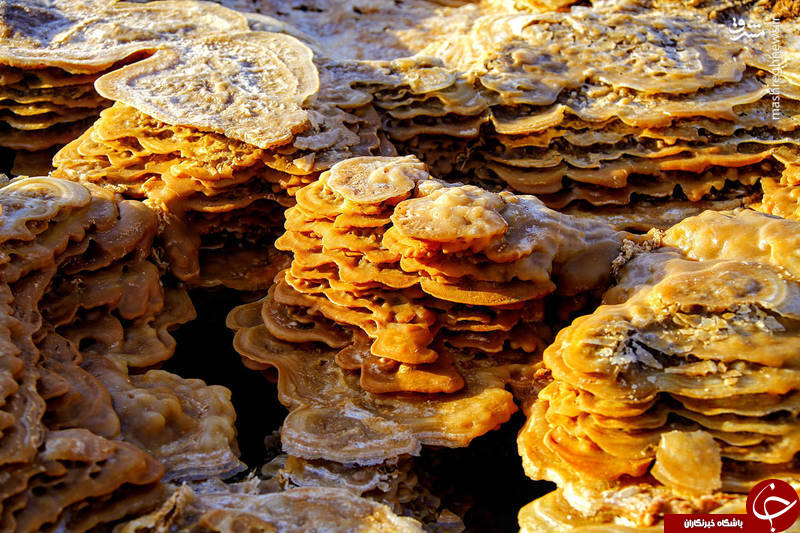 تصاویر زیبا از صحرای اتیوپی تصاویر زیبا از صحرای اتیوپی