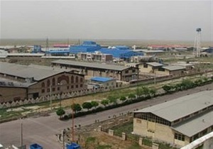 اختصاص بیش از 5 هزار هکتار از اراضی پارس آباد به کشت کلزا