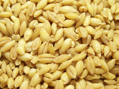 لیست قیمت انواع حبوبات غیر شرکتی