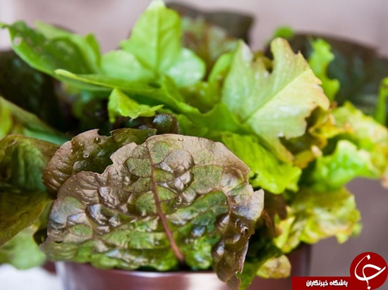 ۱۴ ماده غذایی کم کالری که باعث افزایش وزن نمی&lrm;شوند