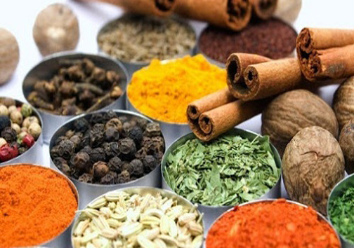 خراسان شمالی مهد گیاهان دارویی در کشور/ شناسایی ۳۵۰ گونه گیاه دارویی در خراسان شمالی