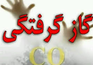 بیش از 10 میلیارد ریال به مزارع شهرستان باشت خسارت وارد شد