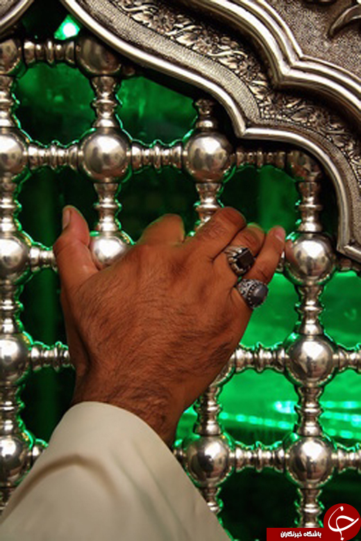 گلچینی از عکس های حرم امام حسین (ع)