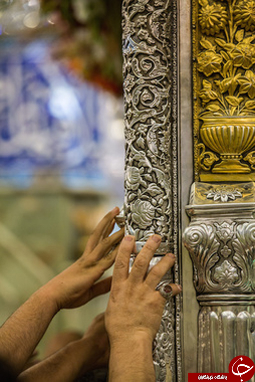 گلچینی از عکس های حرم امام حسین (ع)