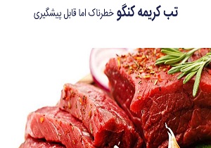 سیستان و بلوچستان به قطب تشخیص تب کنگو در شرق کشور تبدیل می‌شود