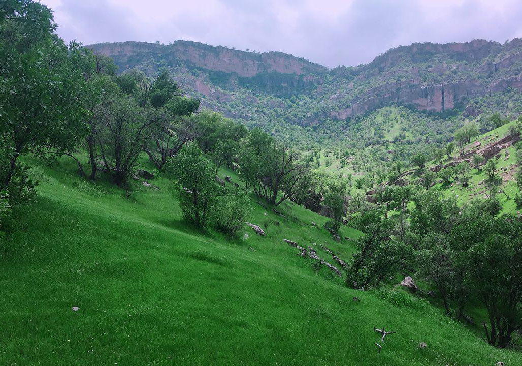 مناظری بی‌نظیر از طبیعت در منطقه آمیران کوشکی + تصاویر