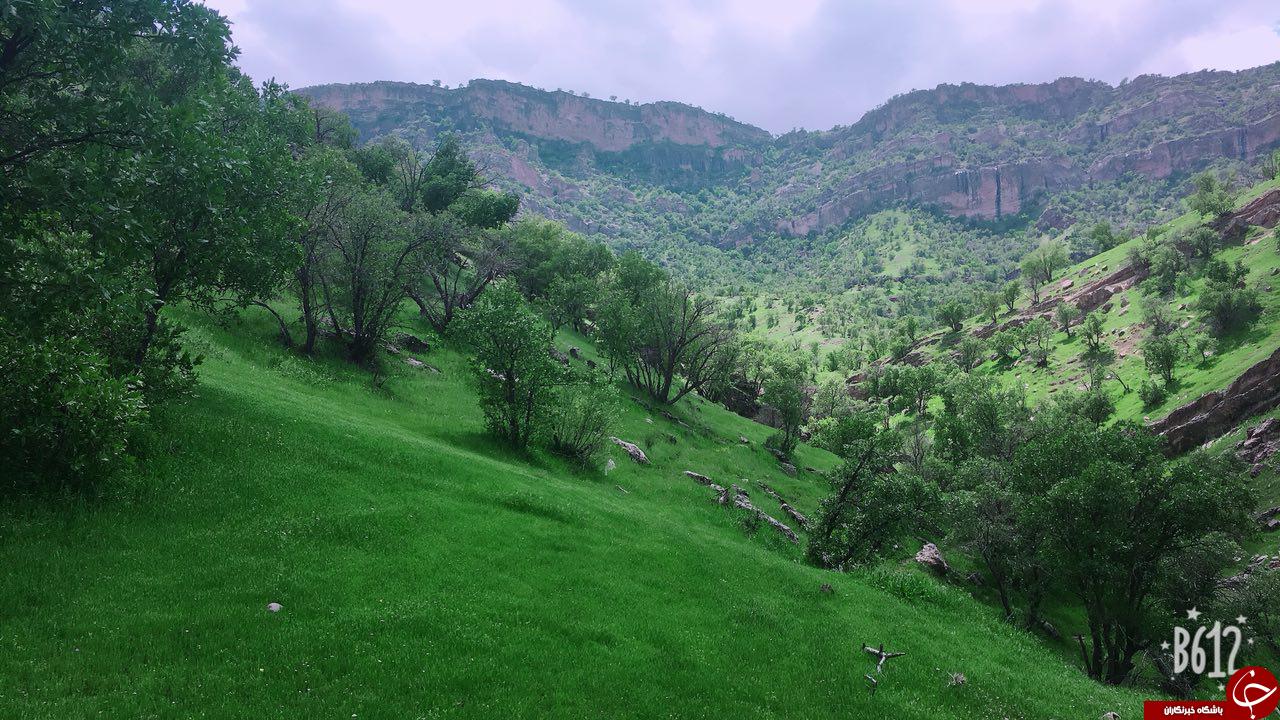 مناظری بی&zwnj;نظیر از طبیعت در منطقه آمیران کوشکی + تصاویر