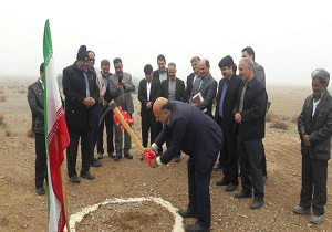 آغاز عملیات اجرایی نخستین زنجیره تولید گوسفند رومانف در خرانق اردکان