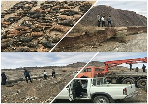 بارندگی اخیر در شهرستان اردکان ٣۰ میلیارد خسارت زد