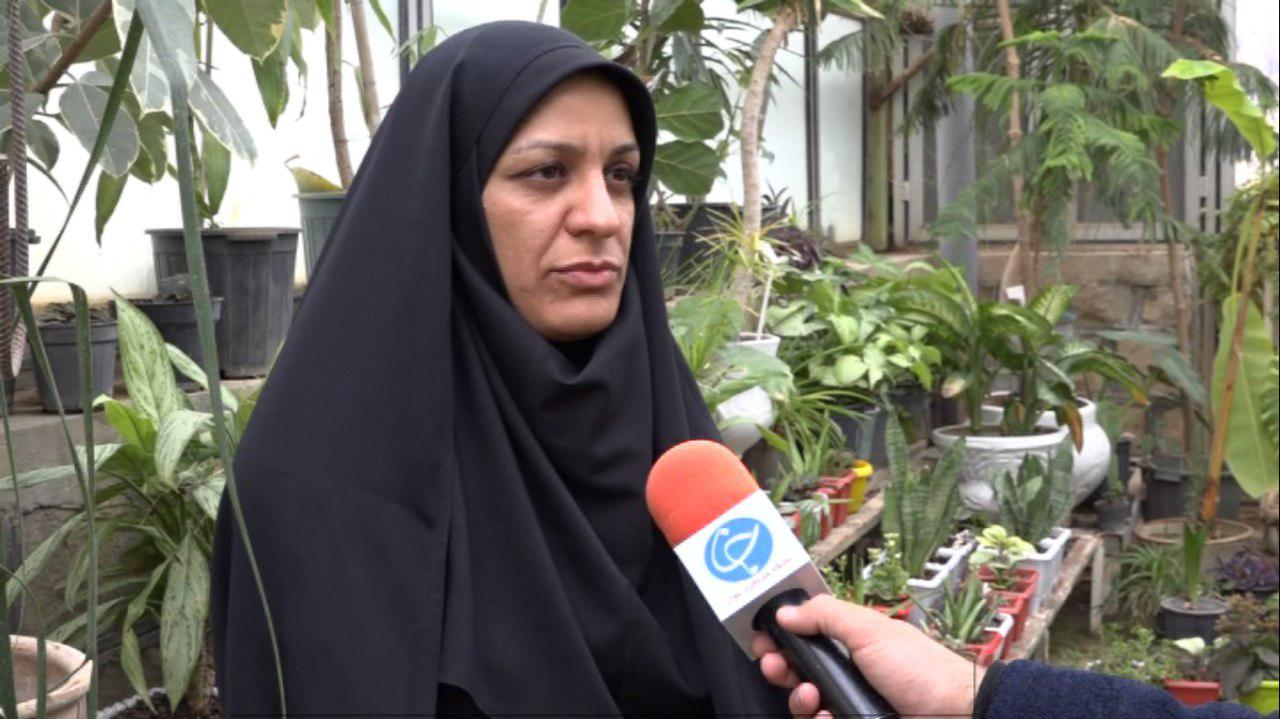 پارک ها حبس و درختان قطع شدند/ سرانه فضای سبز ایلام پایین تر از میانگین کشوری است