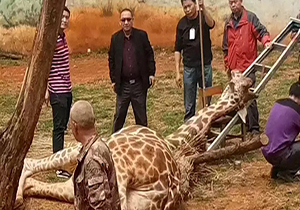 خبر