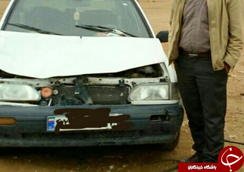 گورخر آبستن قربانی لاستیک&zwnj;های خودرو پراید + عکس