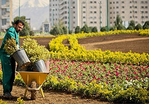 اجرای ۱۶۶ برنامه در طرح استقبال از بهار