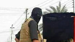 سرکرده &laquo;گروه تروریستی سیناء&raquo; مصر کشته شد