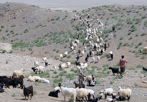 ۷۸ میلیارد ریال برای کاهش اثرات خشکسالی مورد نیاز است