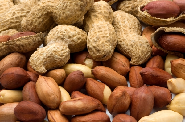 سوغات استان گیلان/ بهترین سوغات استان گیلان چیست؟