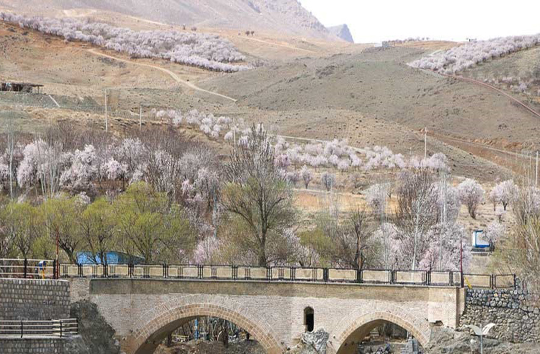 پل زمانخان انتخابی مناسب برای گذراندن تعطیلات نوروزی
