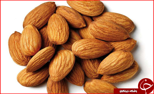 بادام چهارمحال بختیاری