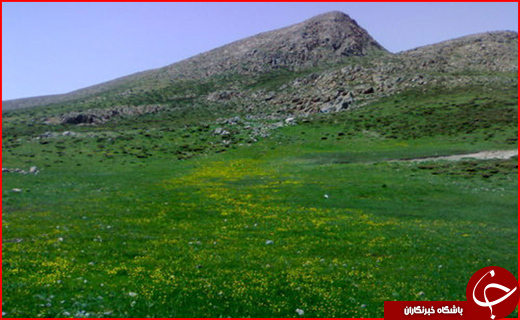 پارک ملی تنگه صیاد چهارمحال بختیاری