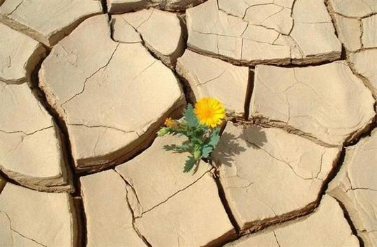 احیای دشت شهرکرد ضرورت زیست محیطی و اقتصادی