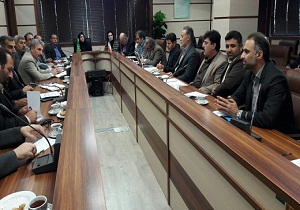 سرما زدگی به ۷۰ درصد از محصولات باغی استان قزوین خسارت زد