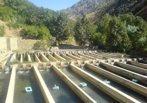 14 درصد پساب تولیدی کشور در استان اصفهان تولید می‌شود